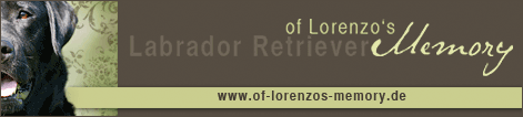 Link_of_lorenzos_memory